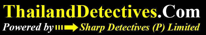 thailand detectives logo